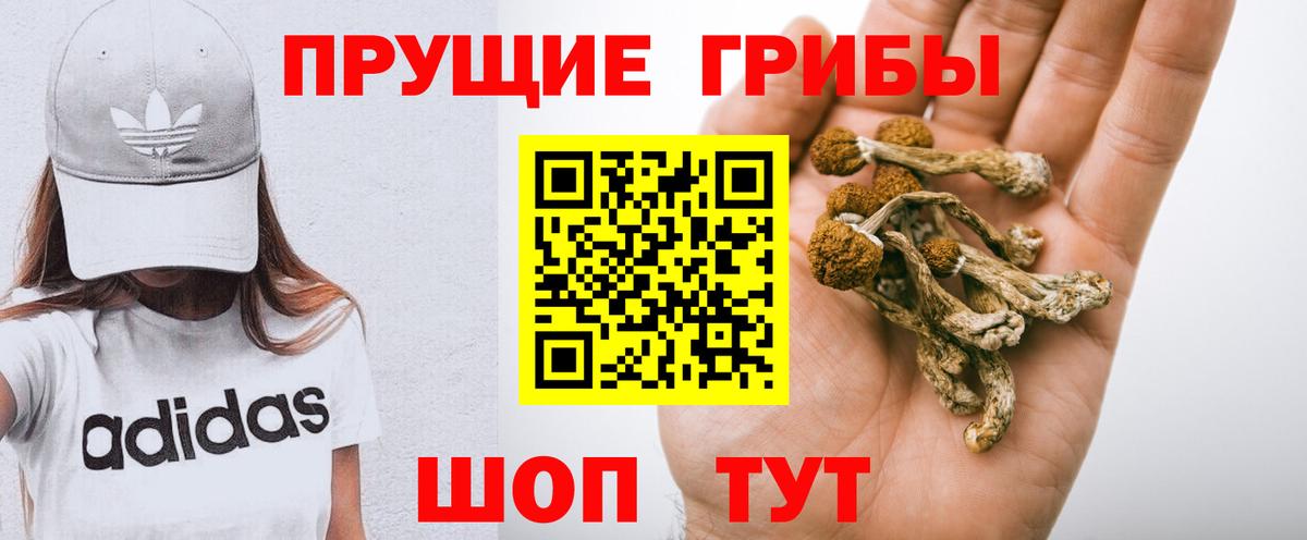 Галлюциногенные грибы ЛСД  Галлюциногенные грибы Psilocybine cubensis  Вход с VPN  Рославль 